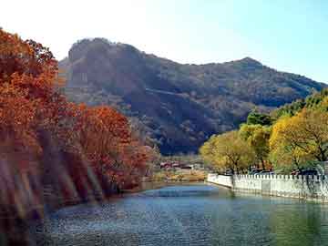 正版澳门天天开彩大全，柳岩隆胸